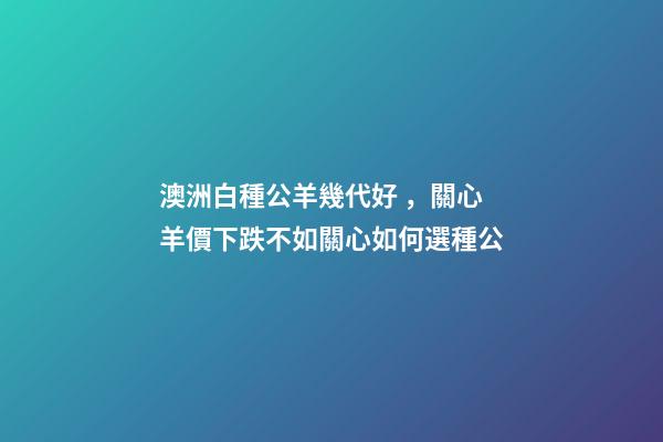 澳洲白種公羊幾代好，關心羊價下跌不如關心如何選種公-第1張-觀點-玄機派